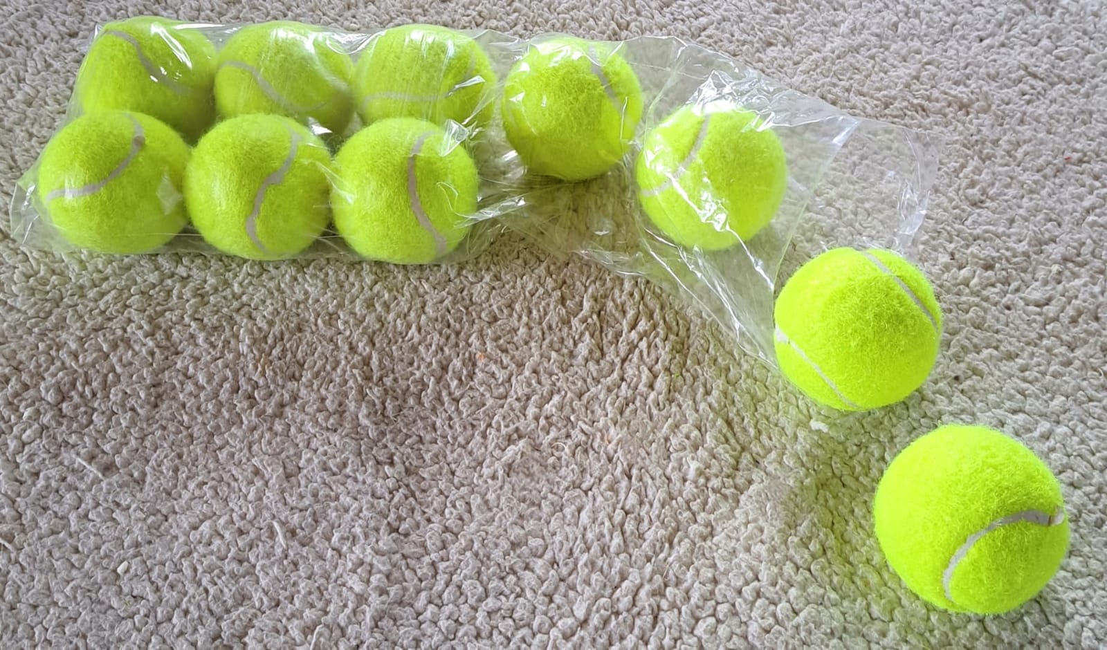 Automatic Dog Ball Launcher: Upgraded Auto/Manual Pet Ball Thrower Toy for Dog Indoor/Outdoor Play Include 4 Chew-Resistant Balls - Home,Park,Yard Dog Self Play Companion for Dog Parent (Blue) customer photo 1