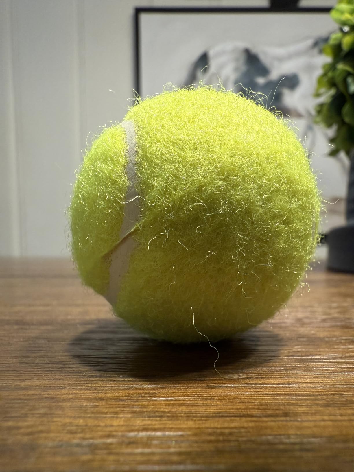 Automatic Dog Ball Launcher: Upgraded Auto/Manual Pet Ball Thrower Toy for Dog Indoor/Outdoor Play Include 4 Chew-Resistant Balls - Home,Park,Yard Dog Self Play Companion for Dog Parent (Blue) customer photo 2
