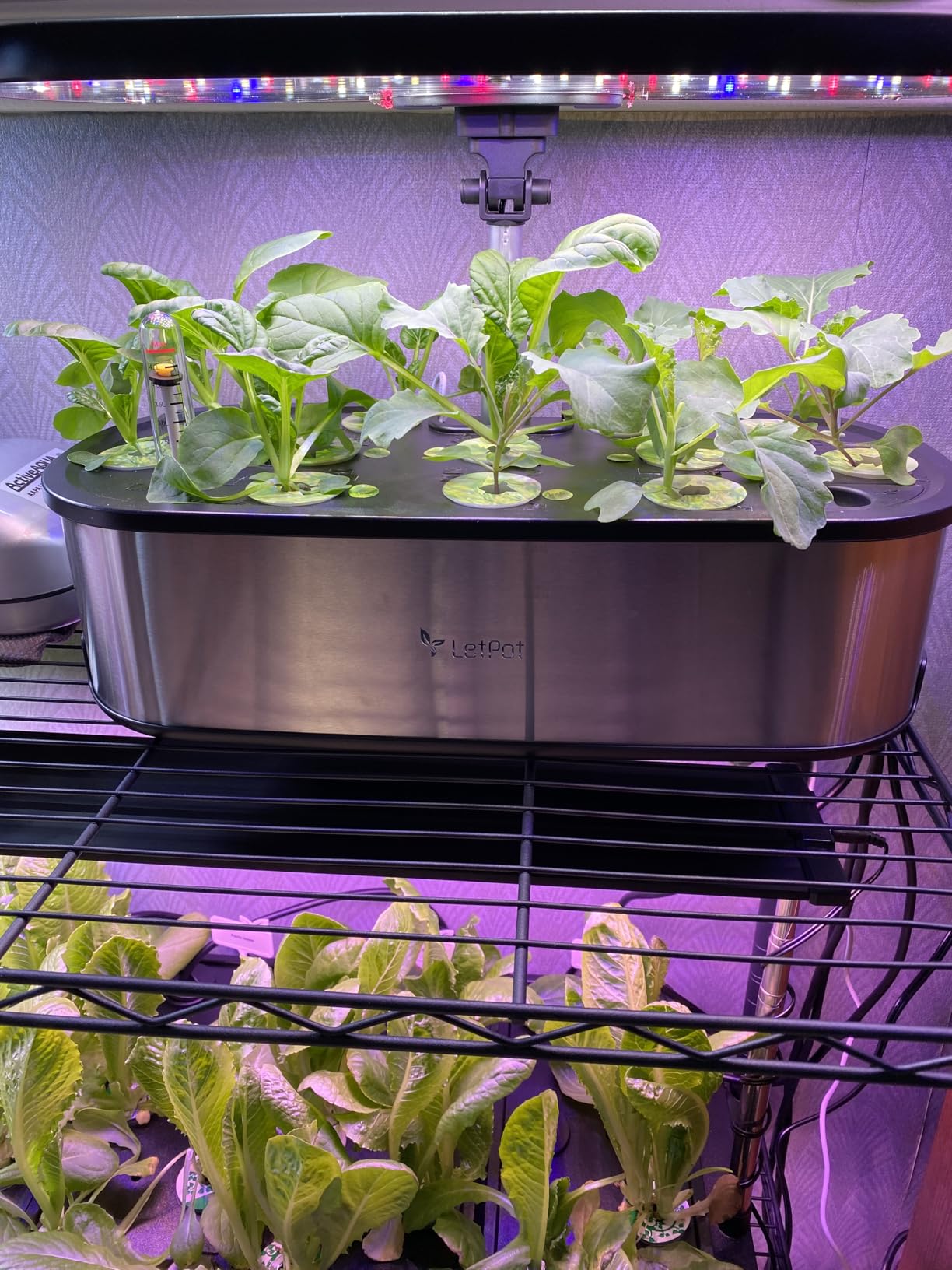 LETPOT LPH-Max 21-Pod Hydroponic Growing System Kits, Smart Indoor Garden with APP & WiFi Control, Auto Watering & Nutrient Supply, 36W Full Spectrum LED Grow Light, 7.5L Tank, Up to 30