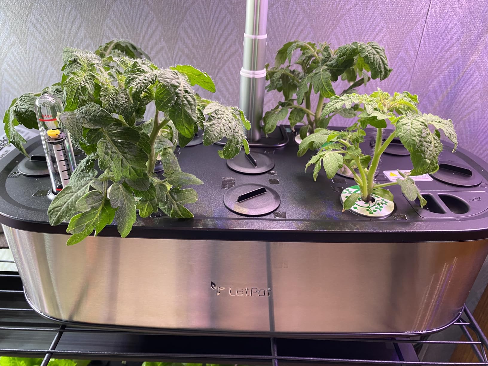 LETPOT LPH-Max 21-Pod Hydroponic Growing System Kits, Smart Indoor Garden with APP & WiFi Control, Auto Watering & Nutrient Supply, 36W Full Spectrum LED Grow Light, 7.5L Tank, Up to 30