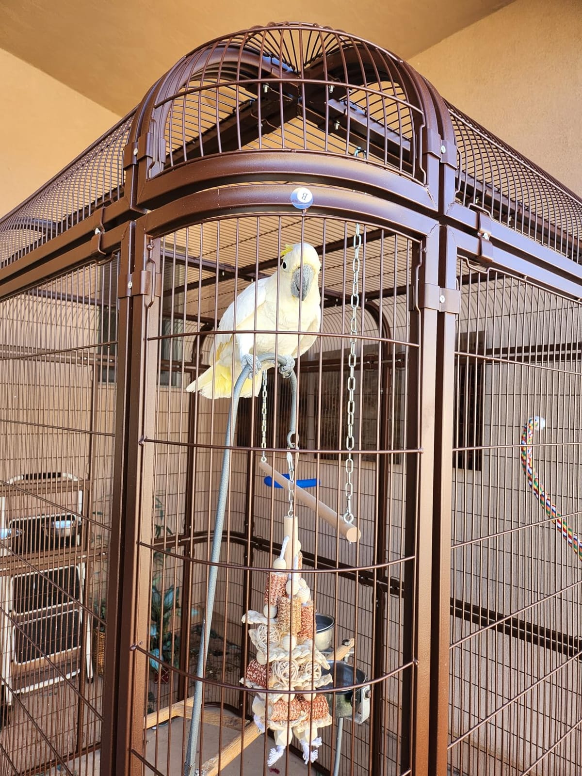 Wonline Large Walk-in Bird Cage Aviary, White | Extra-large outdoor cage for macaws, cockatoos, parrots, canaries. Double doors, 86.5