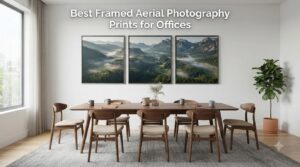 Best Framed Aerial Photography Prints for Offices