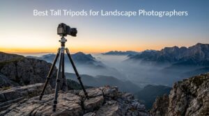 Best Tall Tripods for Landscape Photographers