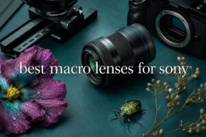 best macro lenses for sony