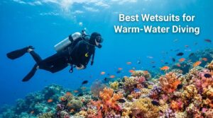 Best Wetsuits for Warm-Water Diving