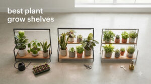 best plant grow shelves