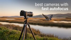 best cameras with fast autofocus