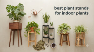best plant stands for indoor plants