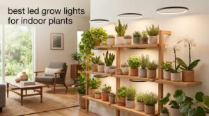 best led grow lights for indoor plants
