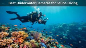 Best Underwater Cameras for Scuba Diving