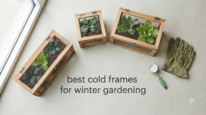 best cold frames for winter gardening