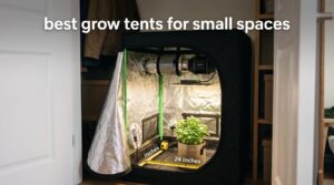 best grow tents for small spaces