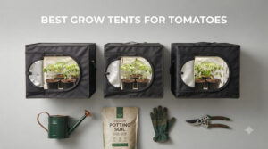 best grow tents for tomatoes