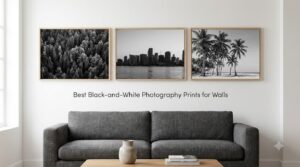 Best Black-and-White Photography Prints for Walls