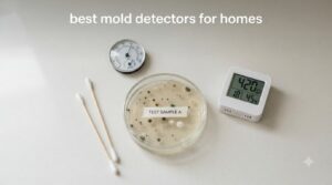 best mold detectors for homes