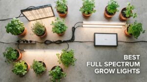 best full spectrum grow lights