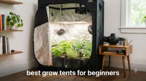 best grow tents for beginners