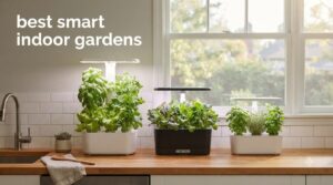 best smart indoor gardens