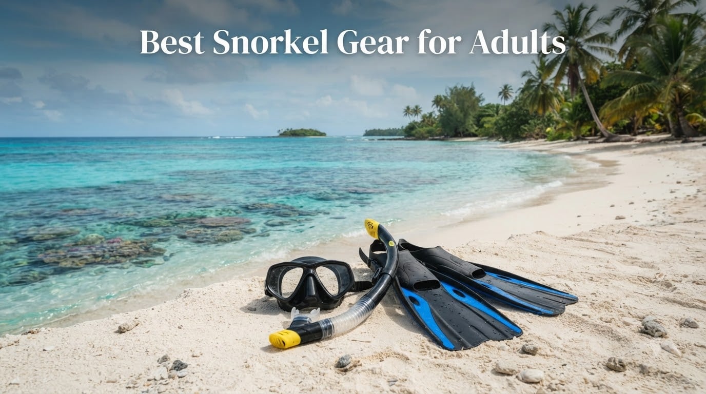 Best Snorkel Gear for Adults