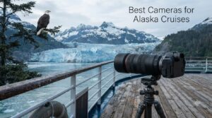 Best Cameras for Alaska Cruises