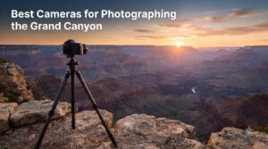 Best Cameras for Photographing the Grand Canyon