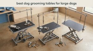 best dog grooming tables for large dogs