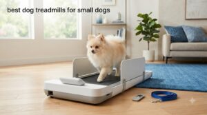 best dog treadmills for small dogs