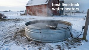 best livestock water heaters