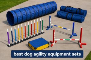 best dog agility equipment sets