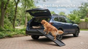 best dog ramps for cars