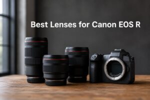 Best Lenses for Canon EOS R