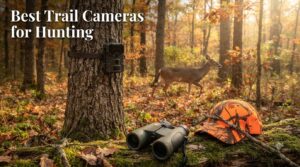 Best Trail Cameras for Hunting