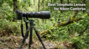 Best Telephoto Lenses for Nikon Cameras