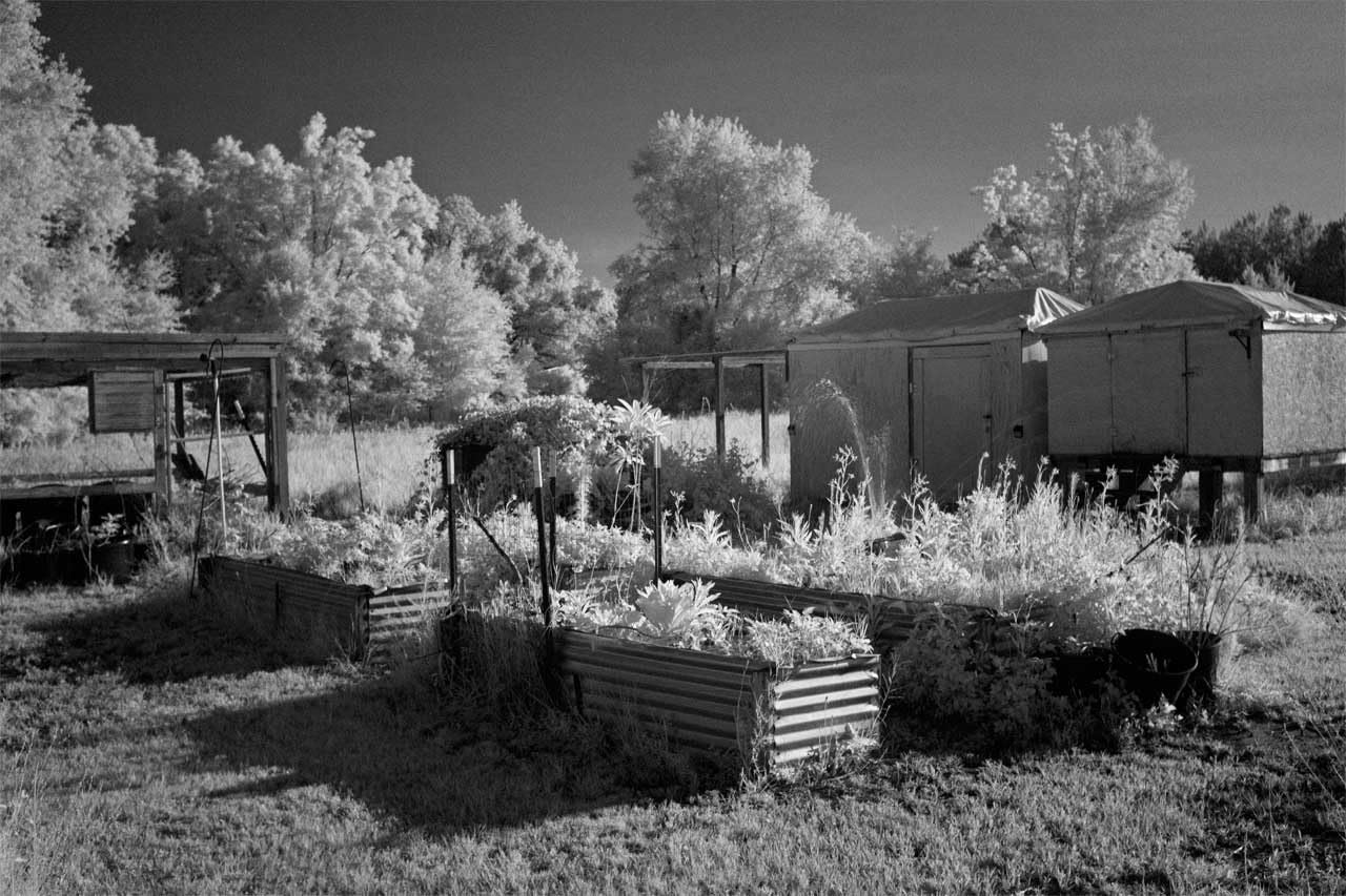 Hoya 72mm RM-72 Infrared Filter customer photo 1