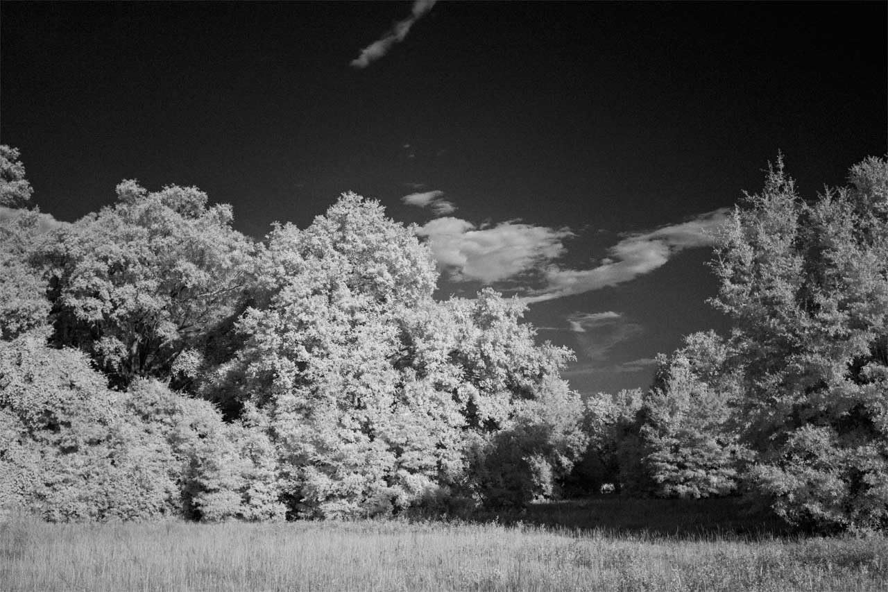 Hoya 72mm RM-72 Infrared Filter customer photo 2