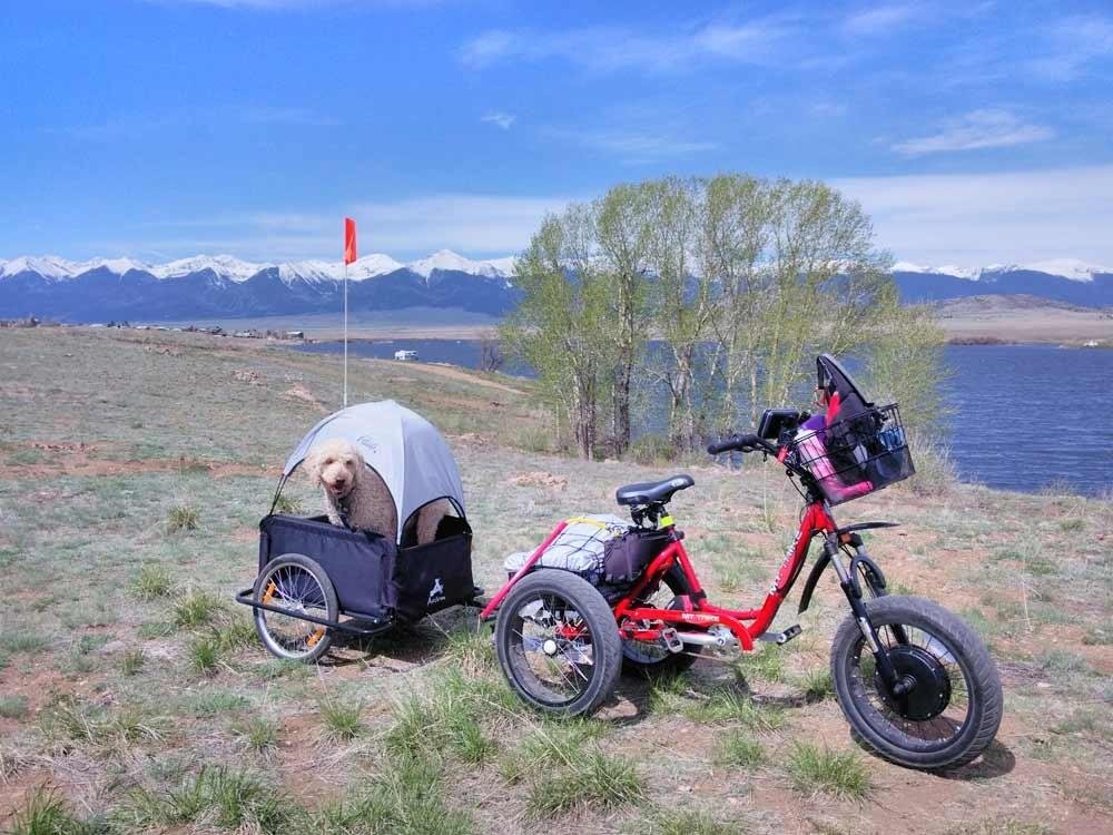 Aosom Bicycle Cargo Trailer Two Wheel Fits 20
