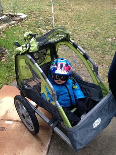 Instep Sync Single Seat Bike Child Trailer, Max Weight 40 lbs., 5-Point Harness, Folding Frame, Quick Release Wheels, Easy Storage, Bug Screen & Weather Shield, Green/Grey customer photo 1