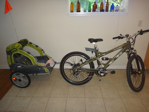 Instep Sync Single Seat Bike Child Trailer, Max Weight 40 lbs., 5-Point Harness, Folding Frame, Quick Release Wheels, Easy Storage, Bug Screen & Weather Shield, Green/Grey customer photo 2