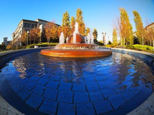 Rokinon FE75MFT-B 7.5mm F3.5 UMC Fisheye Lens for Micro Four Thirds (Olympus PEN and Panasonic), Black customer photo 2
