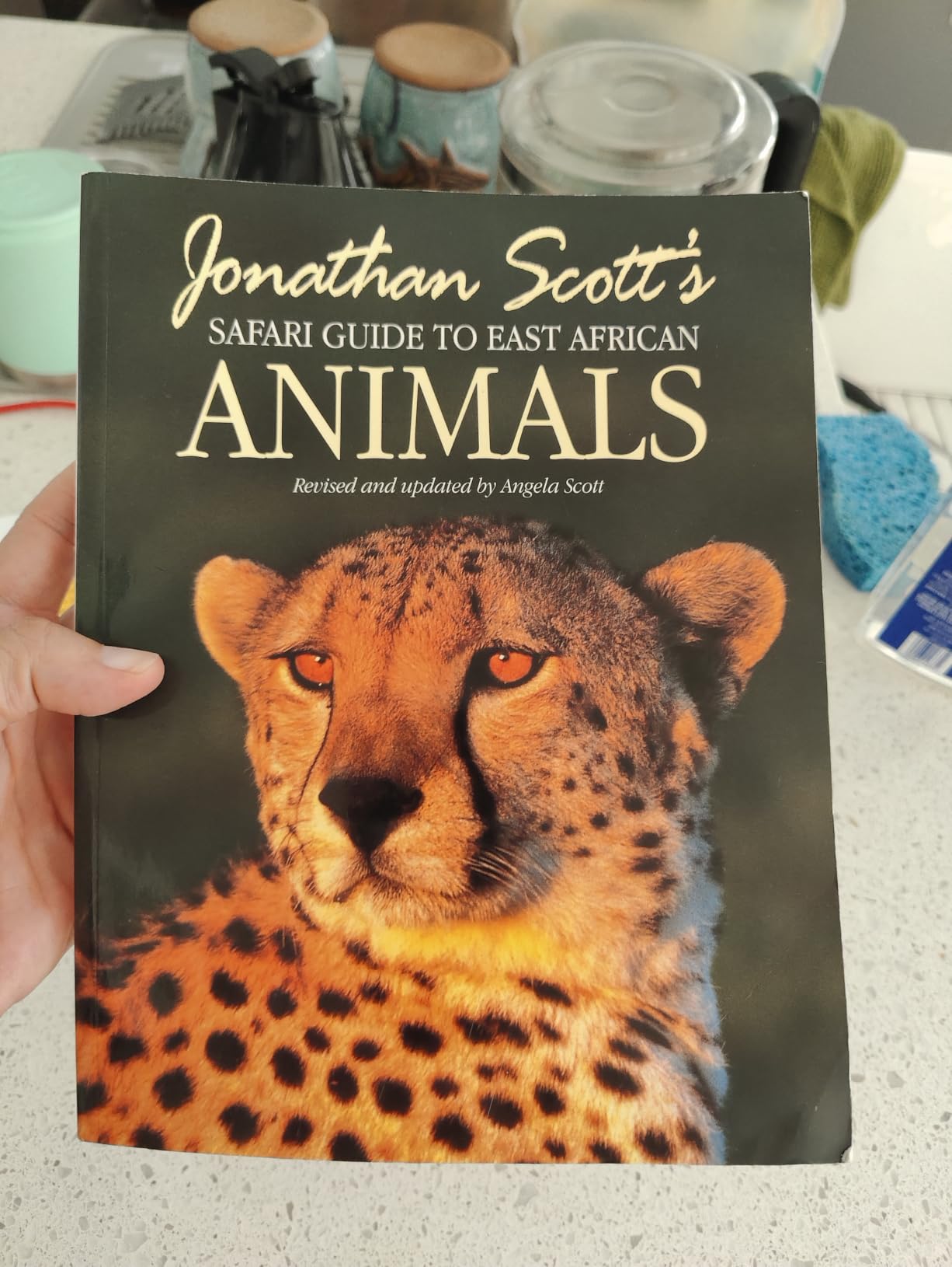 Jonathan and Angela Scott's Safari Guide to East African Animals customer photo 1