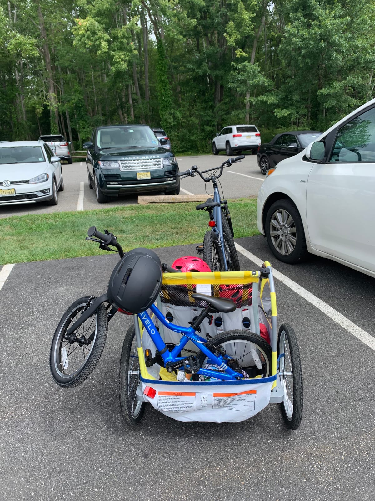 Schwinn Echo Child Bike Trailer, Max of 2 Children with Total Weight of 80 lbs., Canopy, 20-Inch Air-Filled Tires, Yellow/Grey customer photo 2