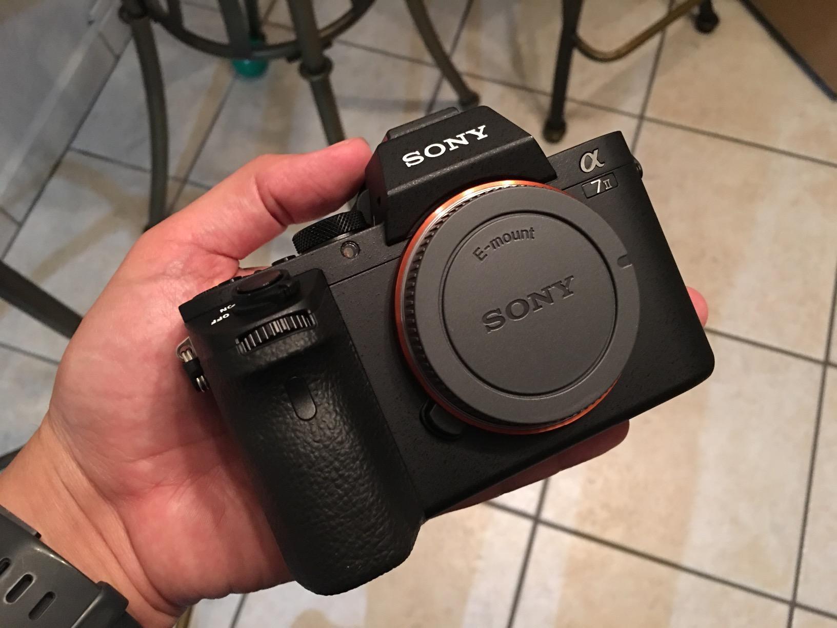Sony Alpha a7II Mirrorless Digital Camera with 28-70mm f/3.5-5.6 Lens - 5-Axis IBIS customer photo 1