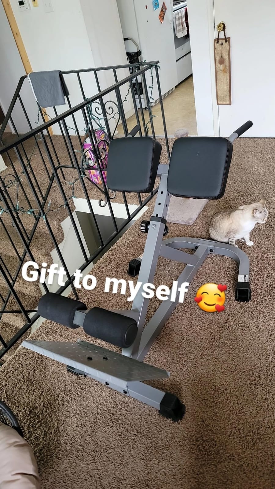 CAP Strength Hyperextension Roman Chair, 300lb Capacity, Silver customer photo 1