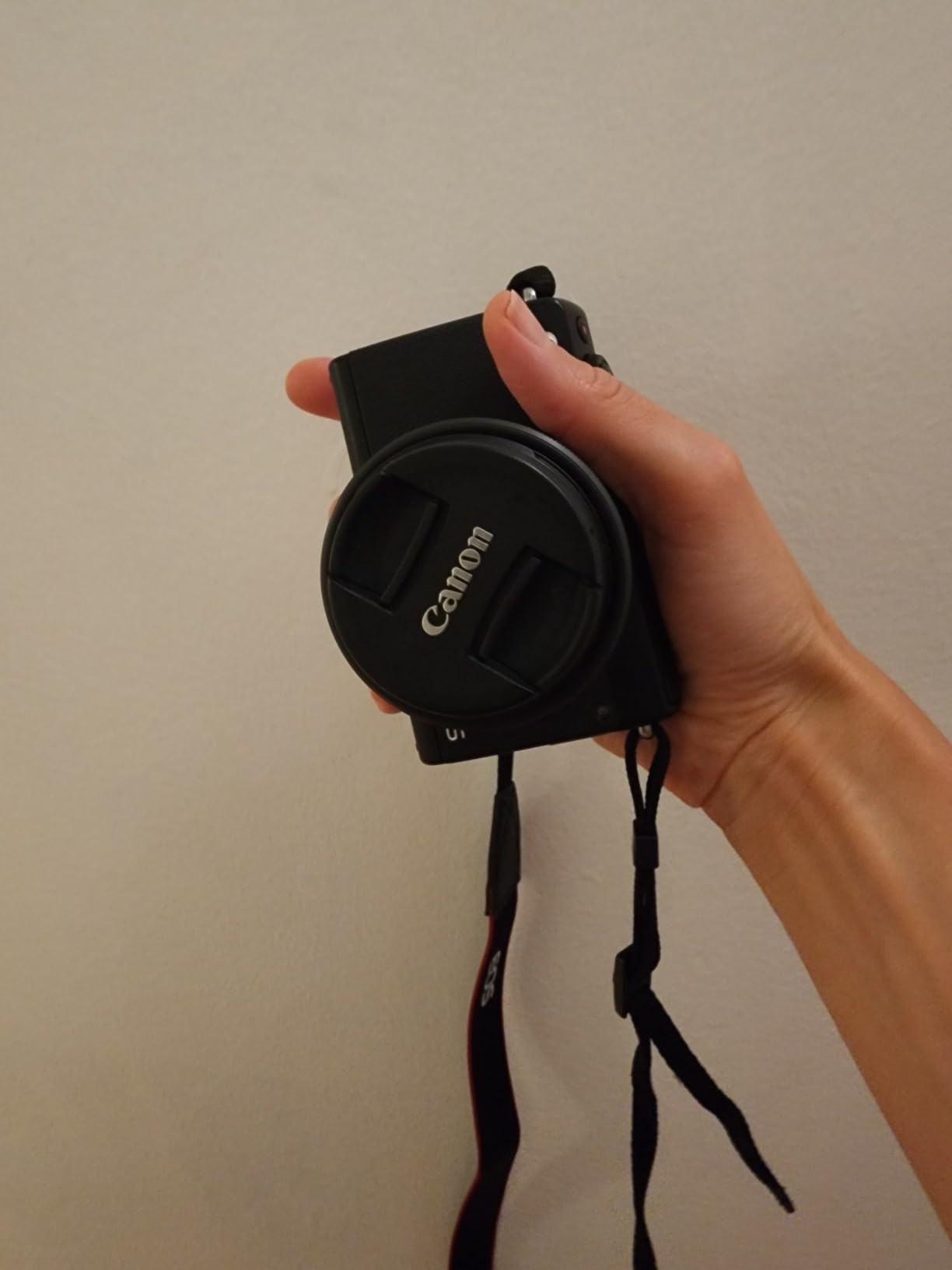 Canon EOS M10 Mirrorless Camera Kit with EF-M 15-45mm Image Stabilization STM Lens Kit customer photo 1