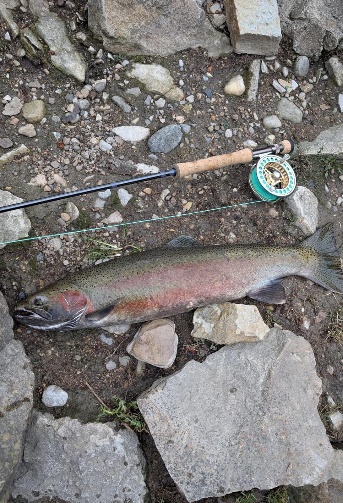 Sougayilang Fly Fishing Reel Large Arbor 2+1 BB with CNC-machined Aluminum Alloy Body and Spool in Fly Reel customer photo 1