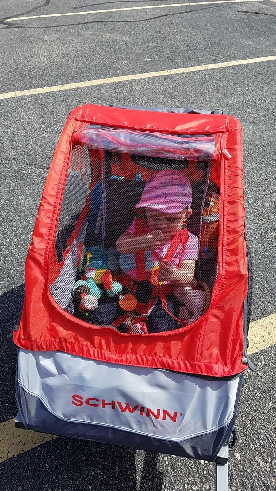 Schwinn Trailblazer Plus Kids Bike Trailer, Single Seat, Universal Coupler, Folding Frame, Quick-Release Wheels, Canopy with Bug Screen and Weather Shield, Schwinn Bike Trailer for Kids customer photo 2