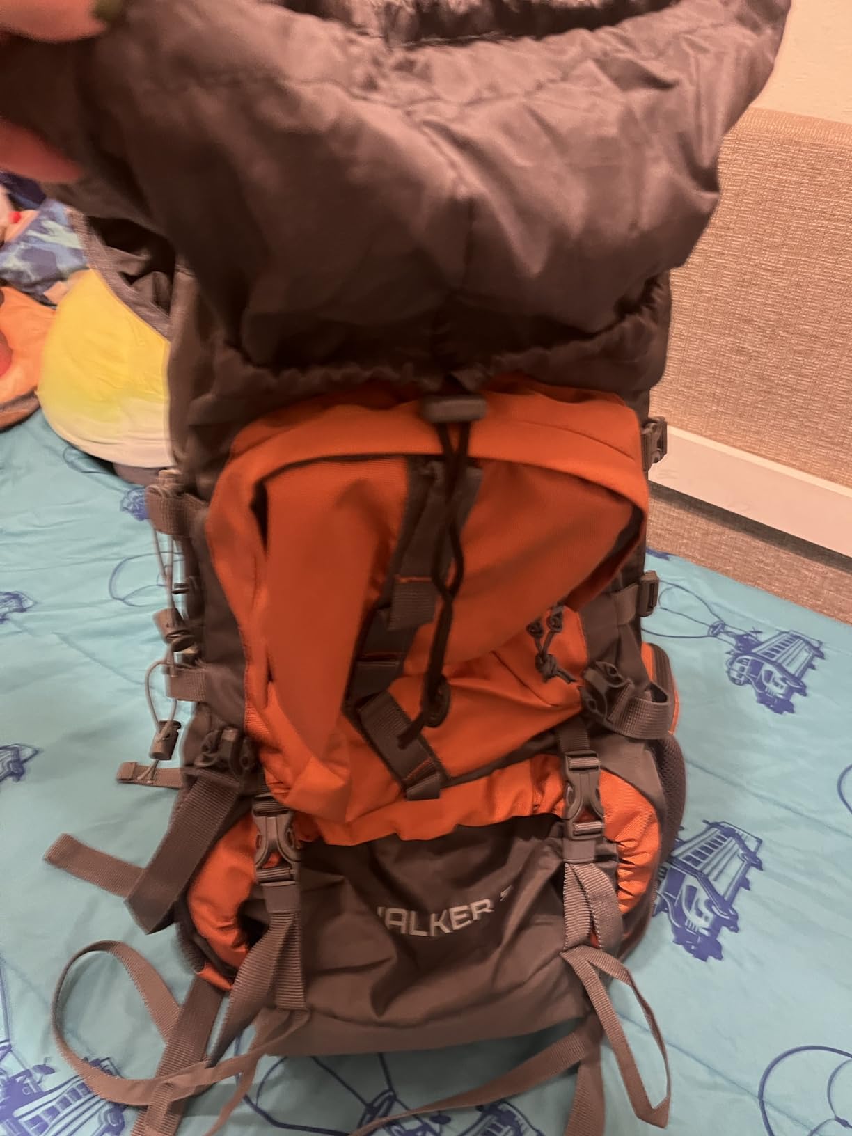 Tripole Walker 65 Litres Rucksack | Internal Frame With Metal Rod | Rain Cover | Bottom Opening | Laptop Section customer photo 2
