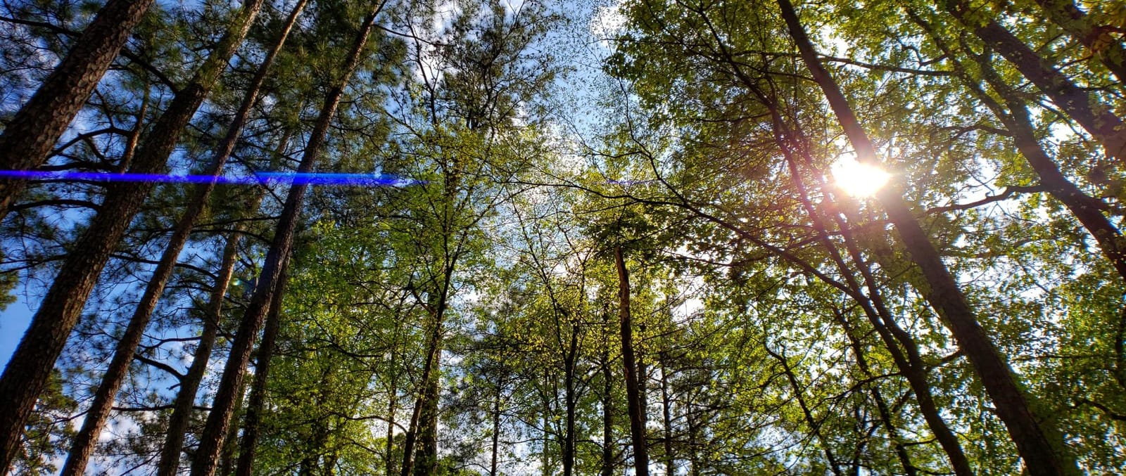 Moment 1.33x Anamorphic Mobile Lens – Capture True Cinematic Aspect Ratio, Gold or Blue Flare [Blue Flare, M-Series] customer photo 1