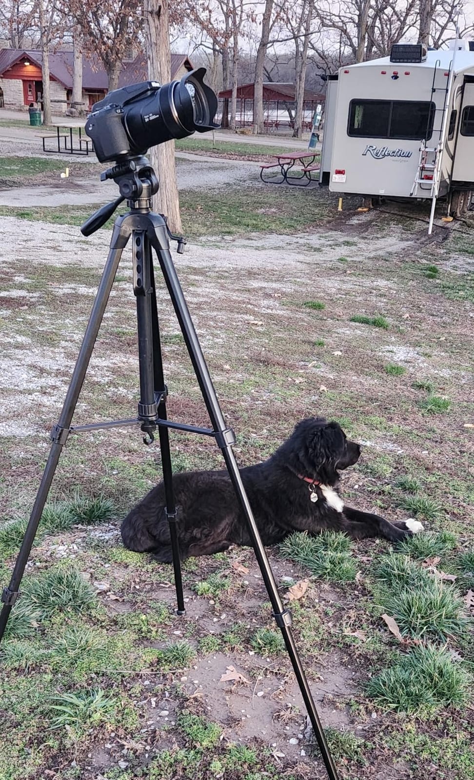 SIRUI AM-124 Carbon Fiber Travel Tripod, Triangular Center Column customer photo 1