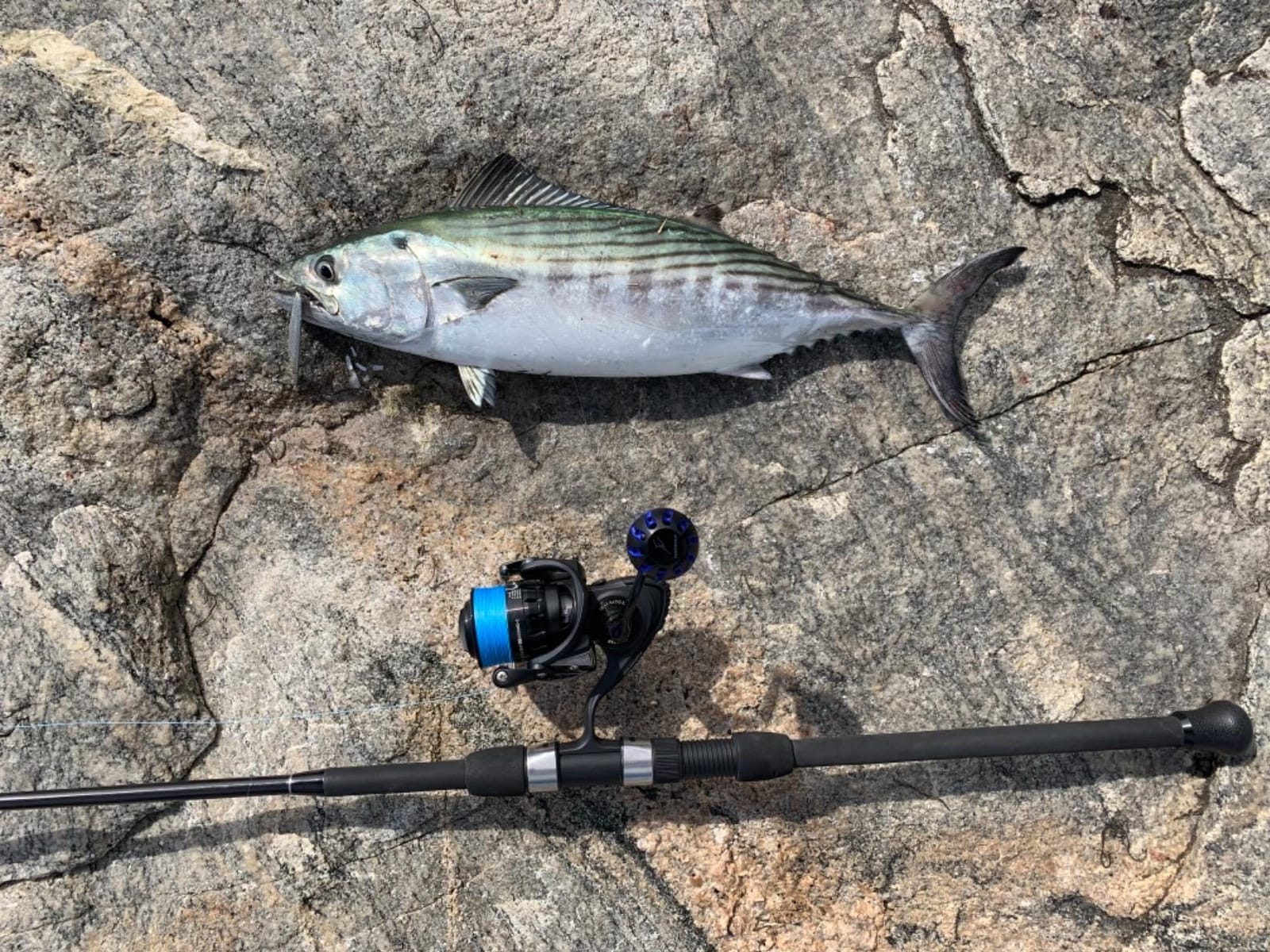 Tsunami Trophy Spinning Surf Rods Series II customer photo 1